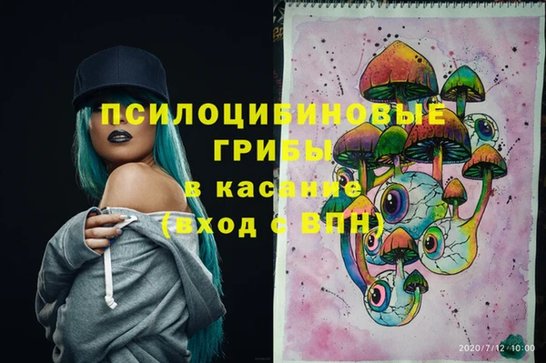 мдпв Медвежьегорск