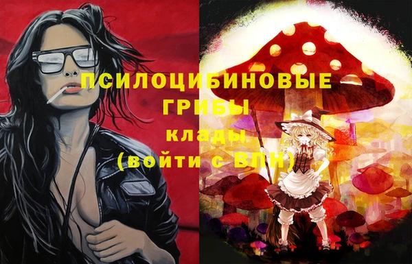 таблы Алексин