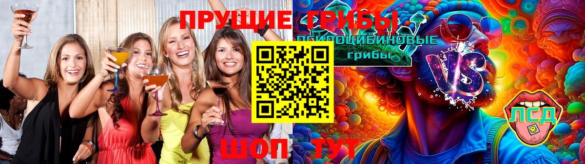 ГАШ Шуя