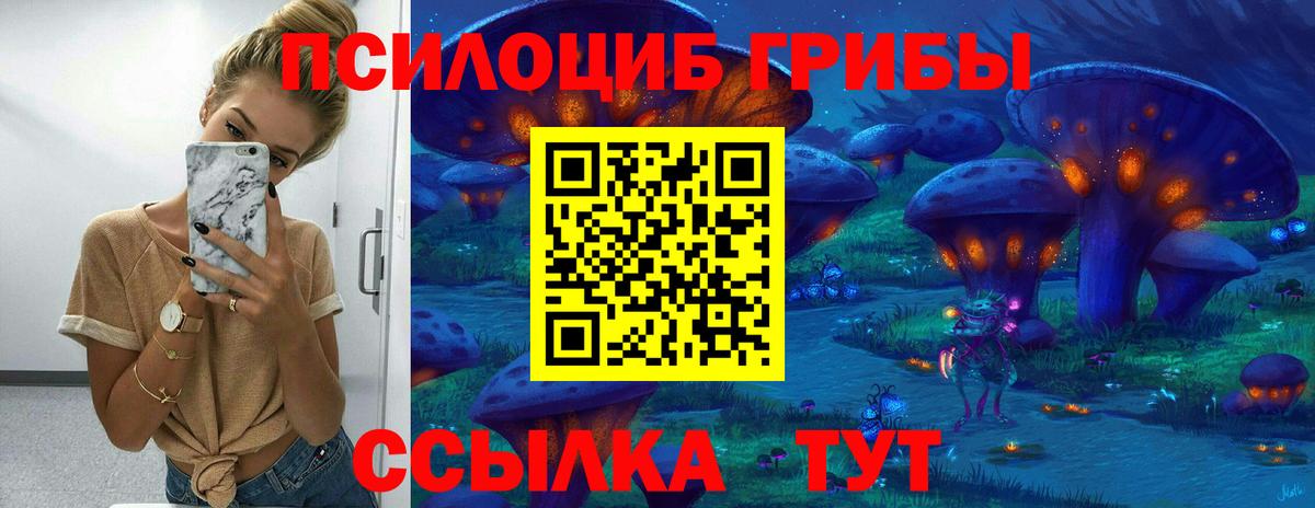 Галлюциногенные грибы прущие грибы  Галлюциногенные грибы GOLDEN TEACHER  Шуя  Вход с VPN 