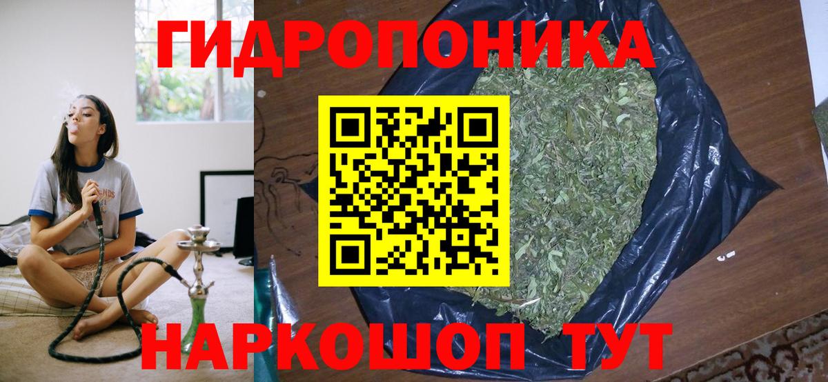МАРИХУАНА план Шуя